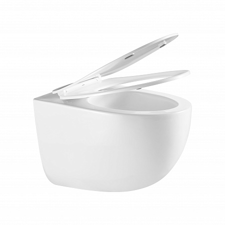 Подвесной унитаз безободковый Terminus Енисей Monolit 560х390 белый Томск - фото 7 Подвесной унитаз безободковый Terminus Енисей Monolit 560х390 белый Томск - фото 7