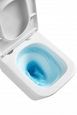 Подвесной унитаз безободковый Terminus Ватикан Monolit 490х340 белый Томск - фото 8 Подвесной унитаз безободковый Terminus Ватикан Monolit 490х340 белый Томск - фото 8