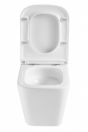 Подвесной унитаз безободковый Terminus Ватикан Monolit 490х340 белый Томск - фото 7 Подвесной унитаз безободковый Terminus Ватикан Monolit 490х340 белый Томск - фото 7