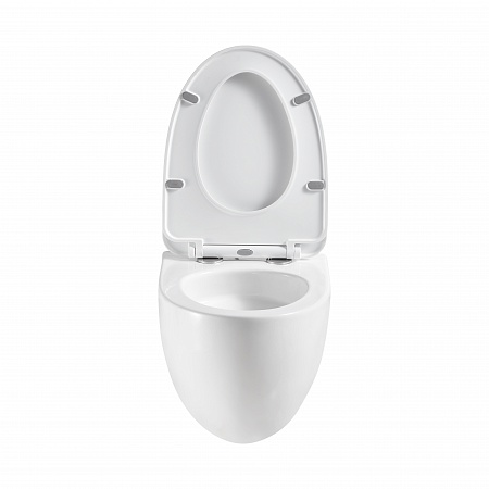 Подвесной унитаз безободковый Terminus Енисей Monolit 560х390 белый Томск - фото 5 Подвесной унитаз безободковый Terminus Енисей Monolit 560х390 белый Томск - фото 5