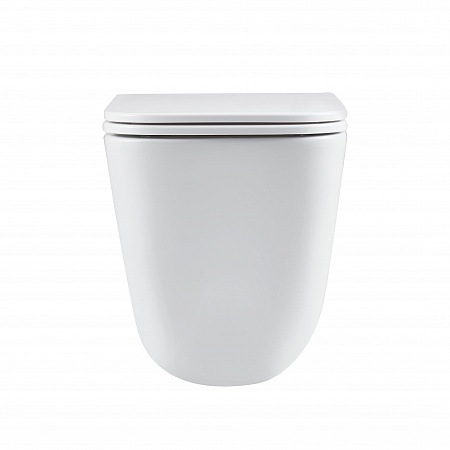 Подвесной унитаз безободковый Terminus Ватикан Monolit 490х340 белый Томск - фото 6 Подвесной унитаз безободковый Terminus Ватикан Monolit 490х340 белый Томск - фото 6