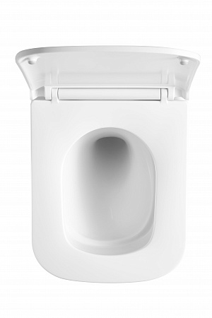 Подвесной унитаз безободковый Terminus Ватикан Monolit 490х340 белый Томск - фото 3 Подвесной унитаз безободковый Terminus Ватикан Monolit 490х340 белый Томск - фото 3